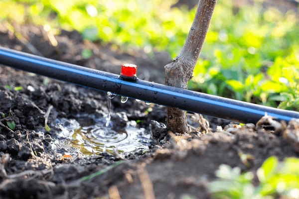 Drip line image