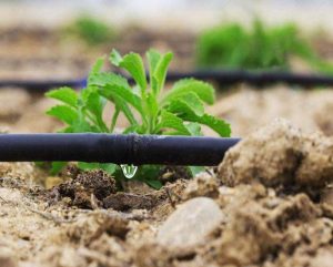LDPE Integrated Drip Irrigation Pipe