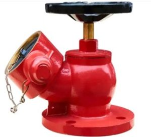 FHV Brass with Flange for Heavy-Duty Building Fire Hydrant Systems