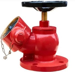 FHV Brass with Flange for Heavy-Duty Building Fire Hydrant Systems