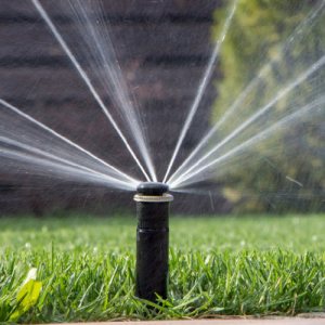 Sprinkler Irrigation