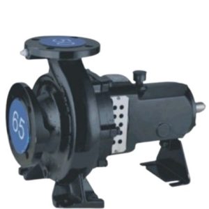 65-200 Centrifugal Pump